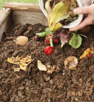 El renacer de la tierra a través de prácticas conscientes y naturales 1 El renacer de la tierra a través de prácticas conscientes y naturales