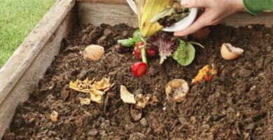 El renacer de la tierra a través de prácticas conscientes y naturales 4 El renacer de la tierra a través de prácticas conscientes y naturales